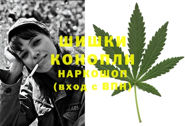 гидропоника Заводоуковск